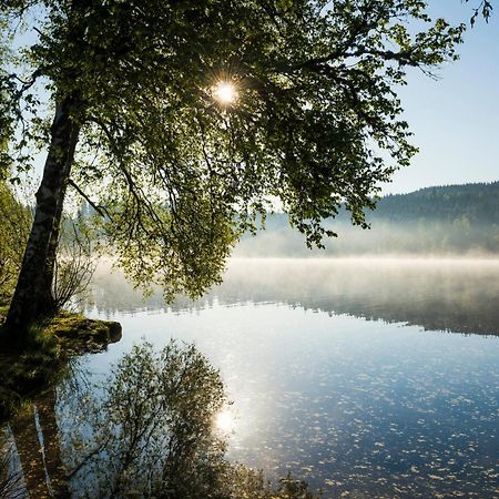 Ferienwohnung Am Schwellenweiher Feldberg  Esterno foto