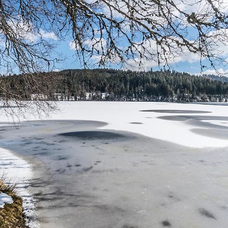 Ferienwohnung Am Schwellenweiher Feldberg  Esterno foto