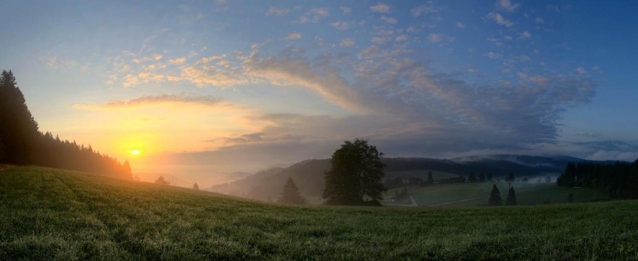 Ferienwohnung Am Schwellenweiher Feldberg  Esterno foto