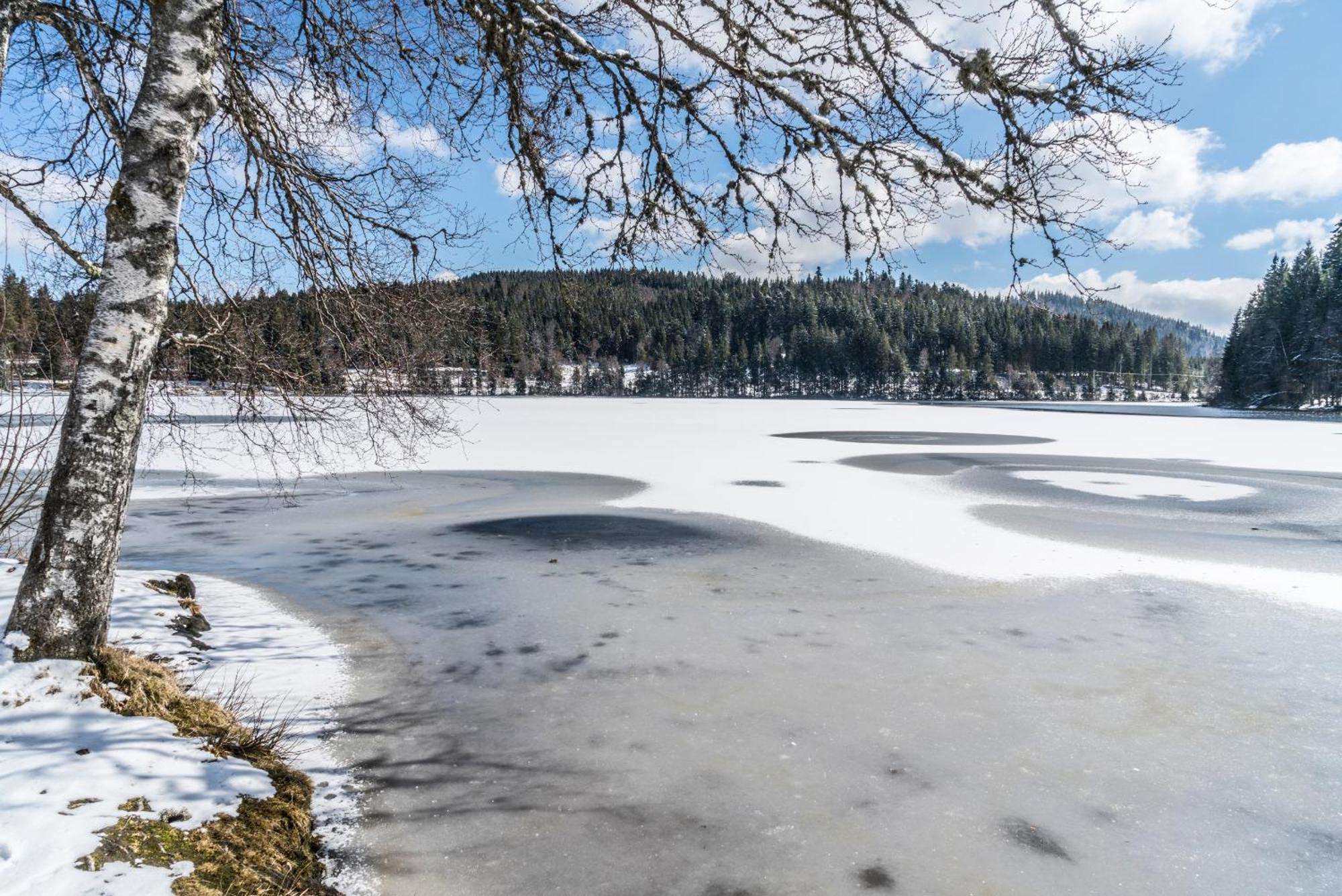 Ferienwohnung Am Schwellenweiher Feldberg  Esterno foto