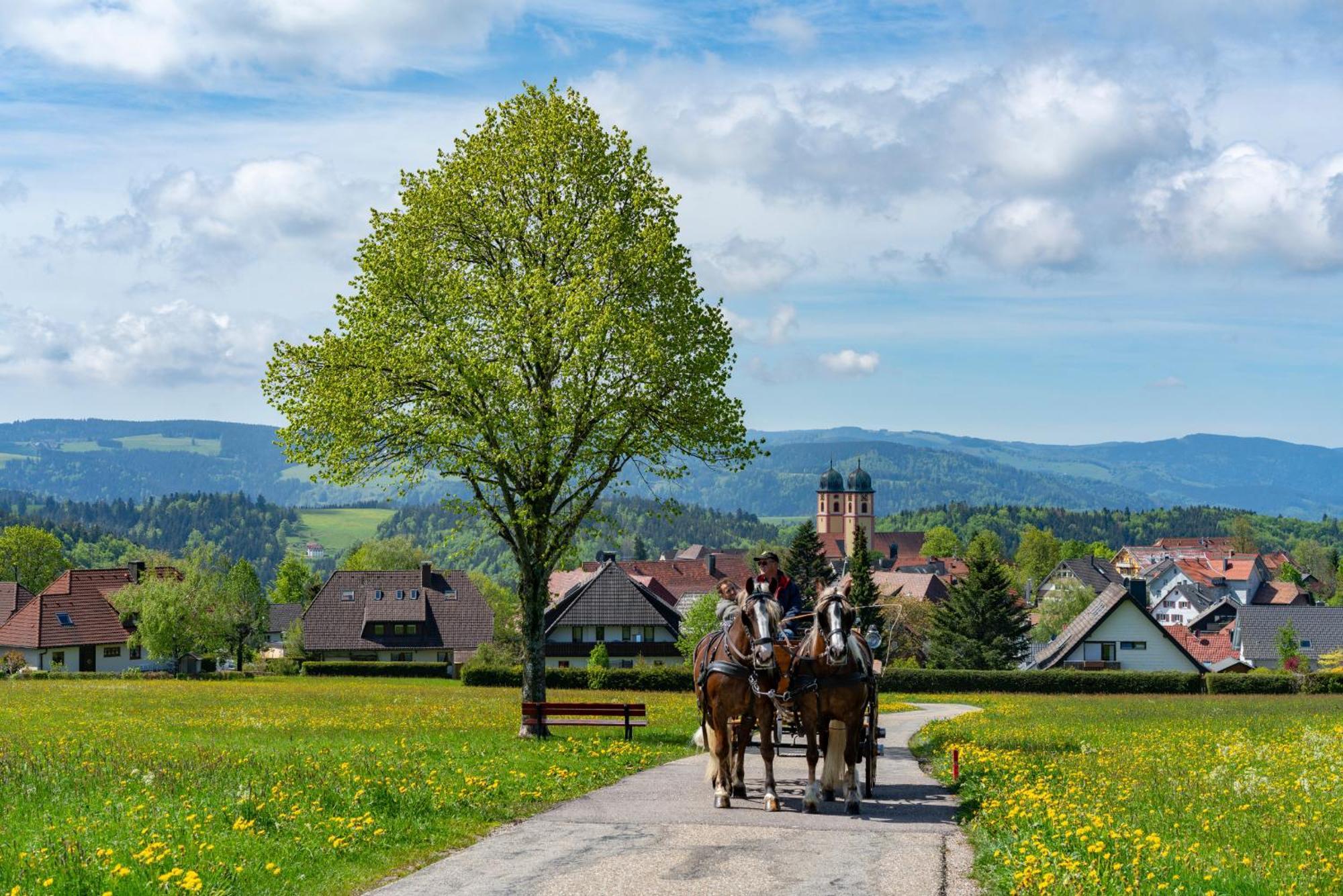 Ferienwohnung Am Schwellenweiher Feldberg  Esterno foto